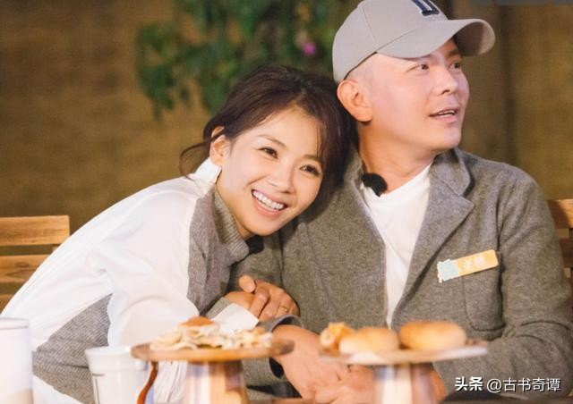 破产贤妻刘涛完整版,刘涛贤妻讲解