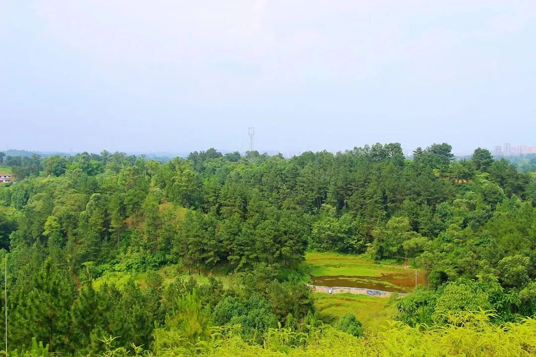 一起小住甜城，邂逅一个仲夏之梦