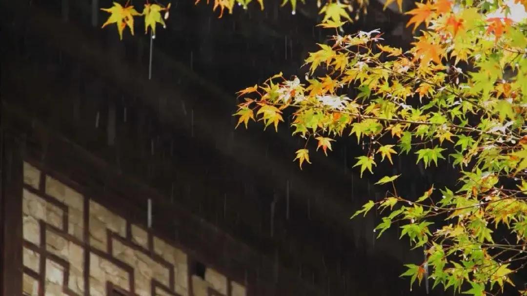 退休后存款达到多少才能过得舒坦,退休以后如何有稳定的收入来源