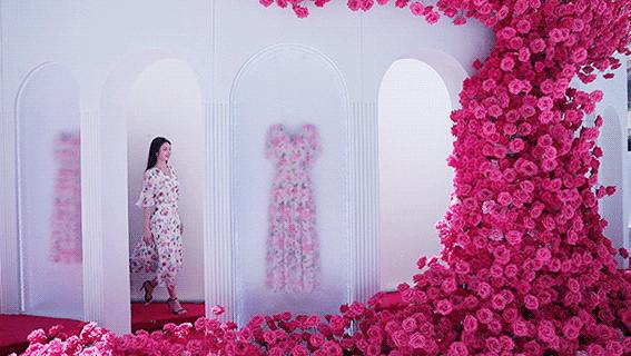 带你去看玫瑰花海,带你看玫瑰花海