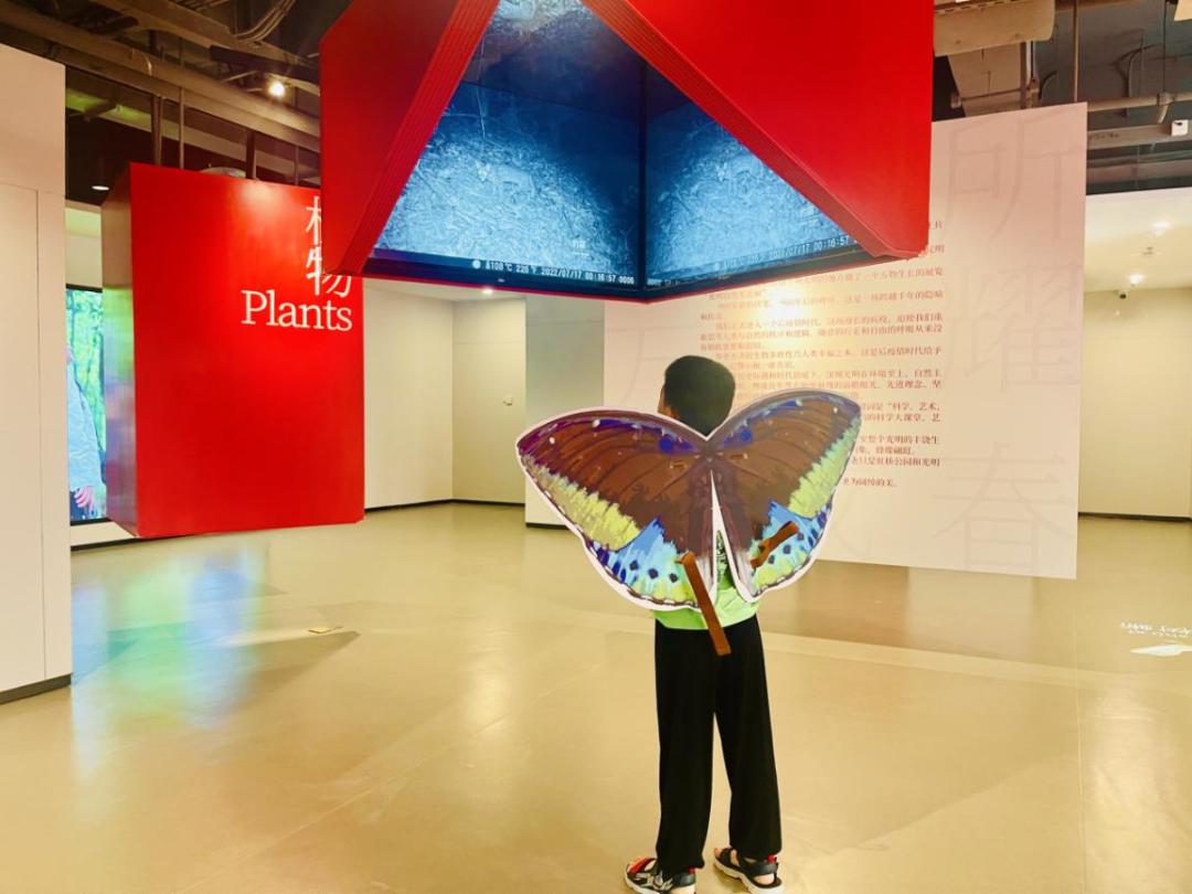 端午假期光明活动超精彩！音乐live、摘荔枝、包粽子……等你解锁！