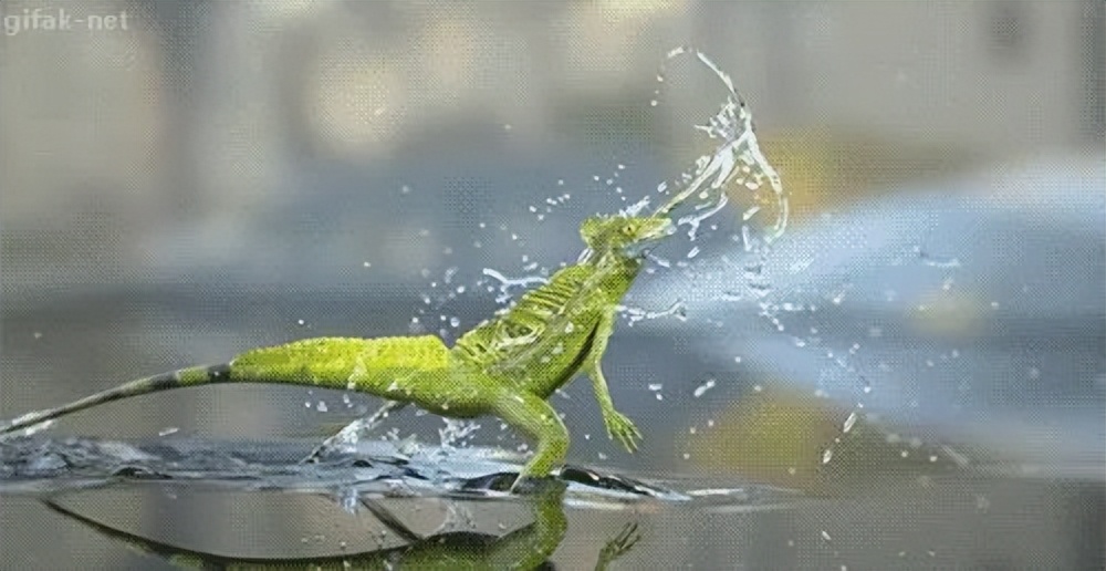 如果车窗起雾该开什么,雨天车窗外起雾正确做法