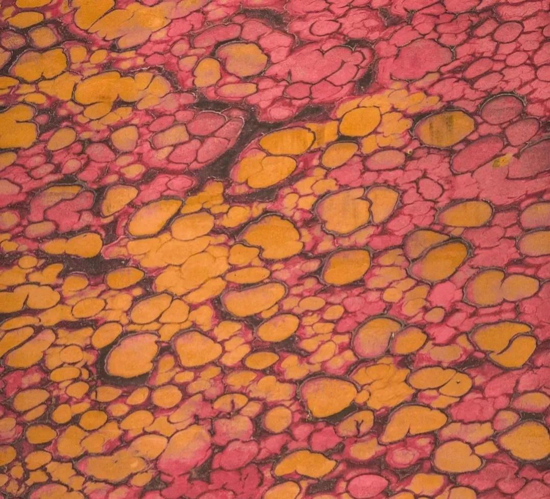 沙漠的绝景,沙漠壮丽的景色