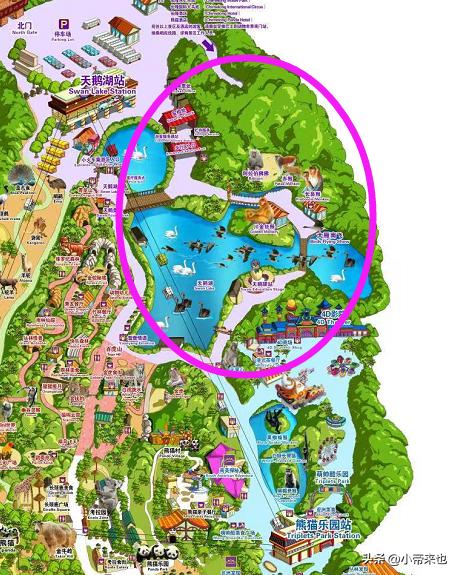 广州长隆野生动物园攻略自由行,1月广州长隆野生动物园旅游攻略