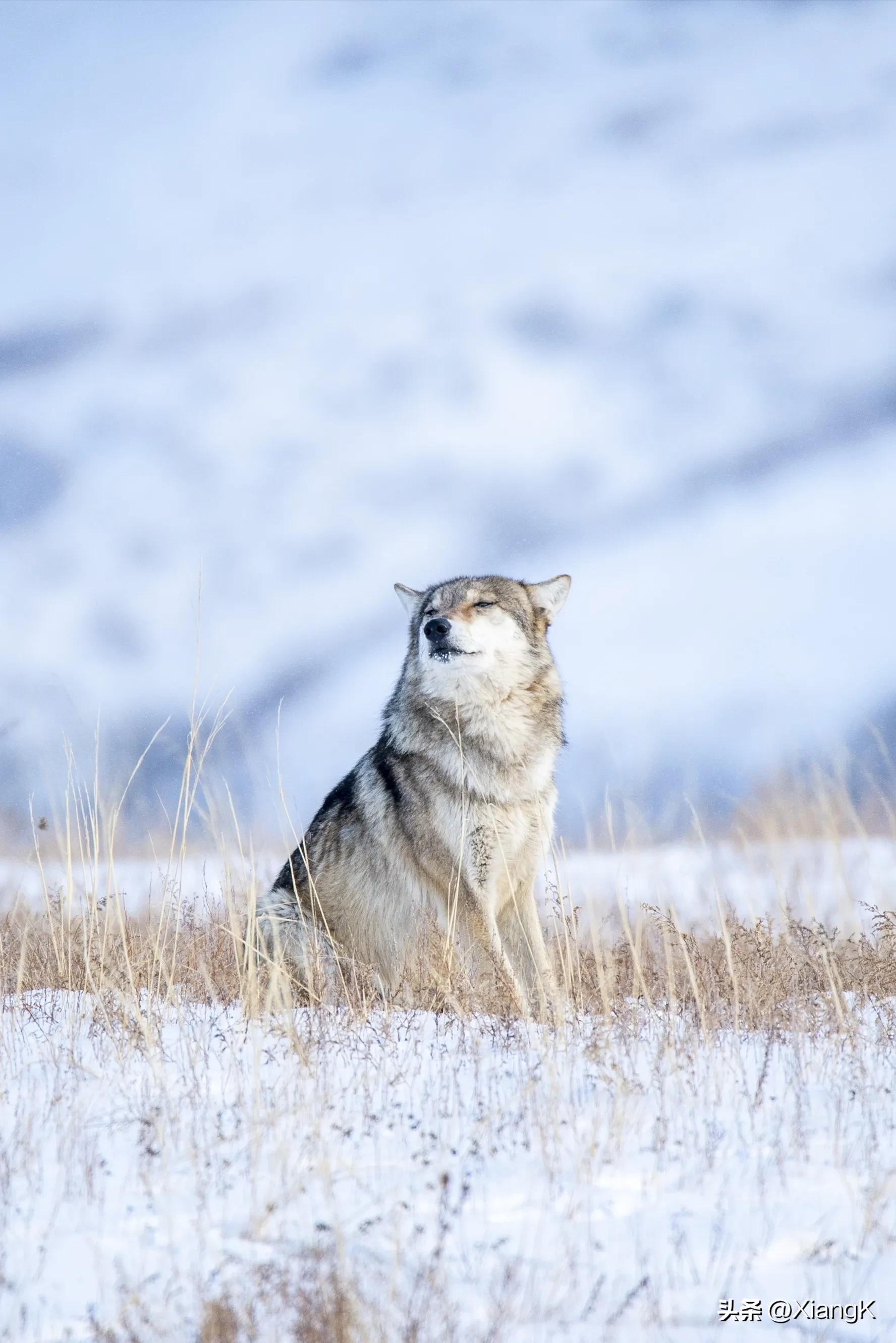 一天一成语:目语额瞬