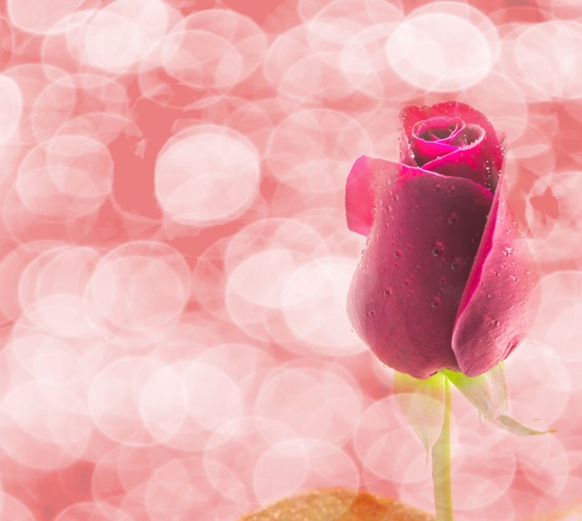 女人想离开一个男人会怎么做,女人想离开一个男人会有什么表现