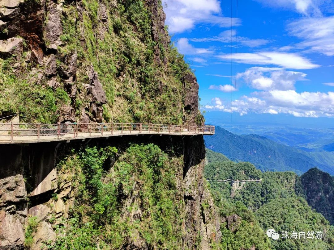 莽山五指峰景区,蟒山国家森林公园旅游攻略