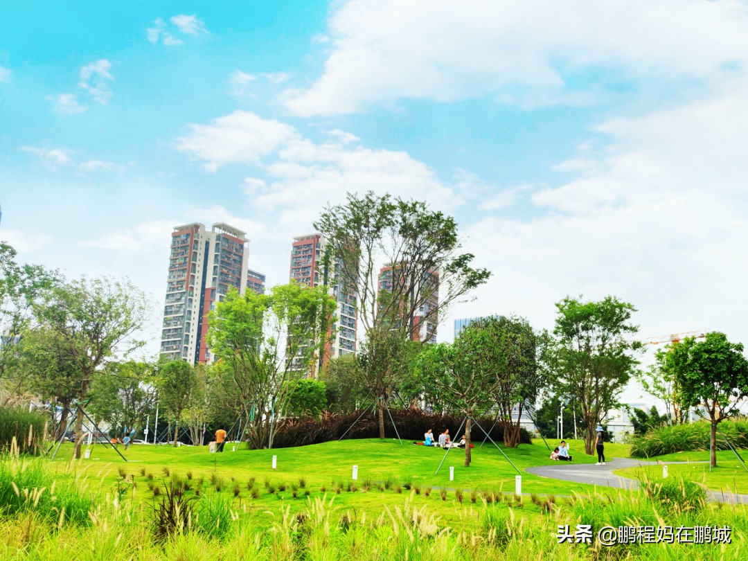 深圳龙华区观澜中心公园,龙华观澜中心公园