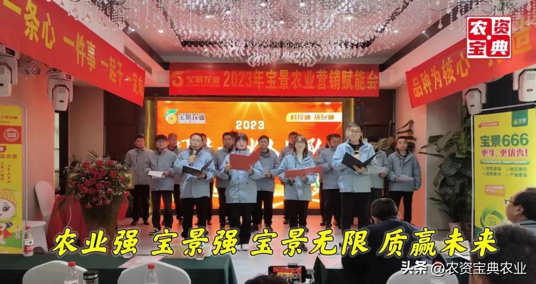 宝景666比郑单958增产多少,宝景666玉米种多少钱一袋