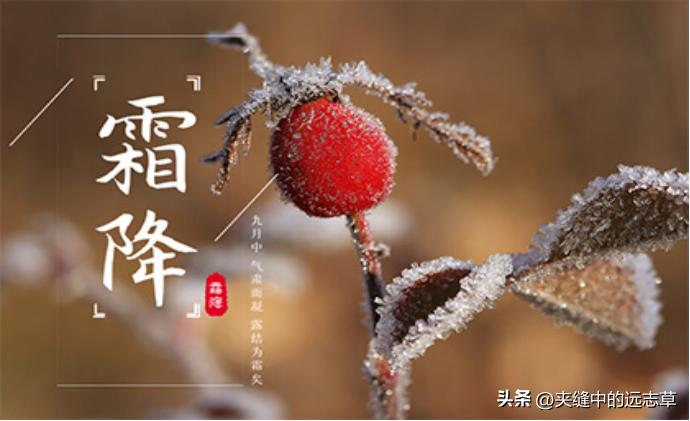 中医支招坚持喝这2种水,喝很多水还是口渴的偏方