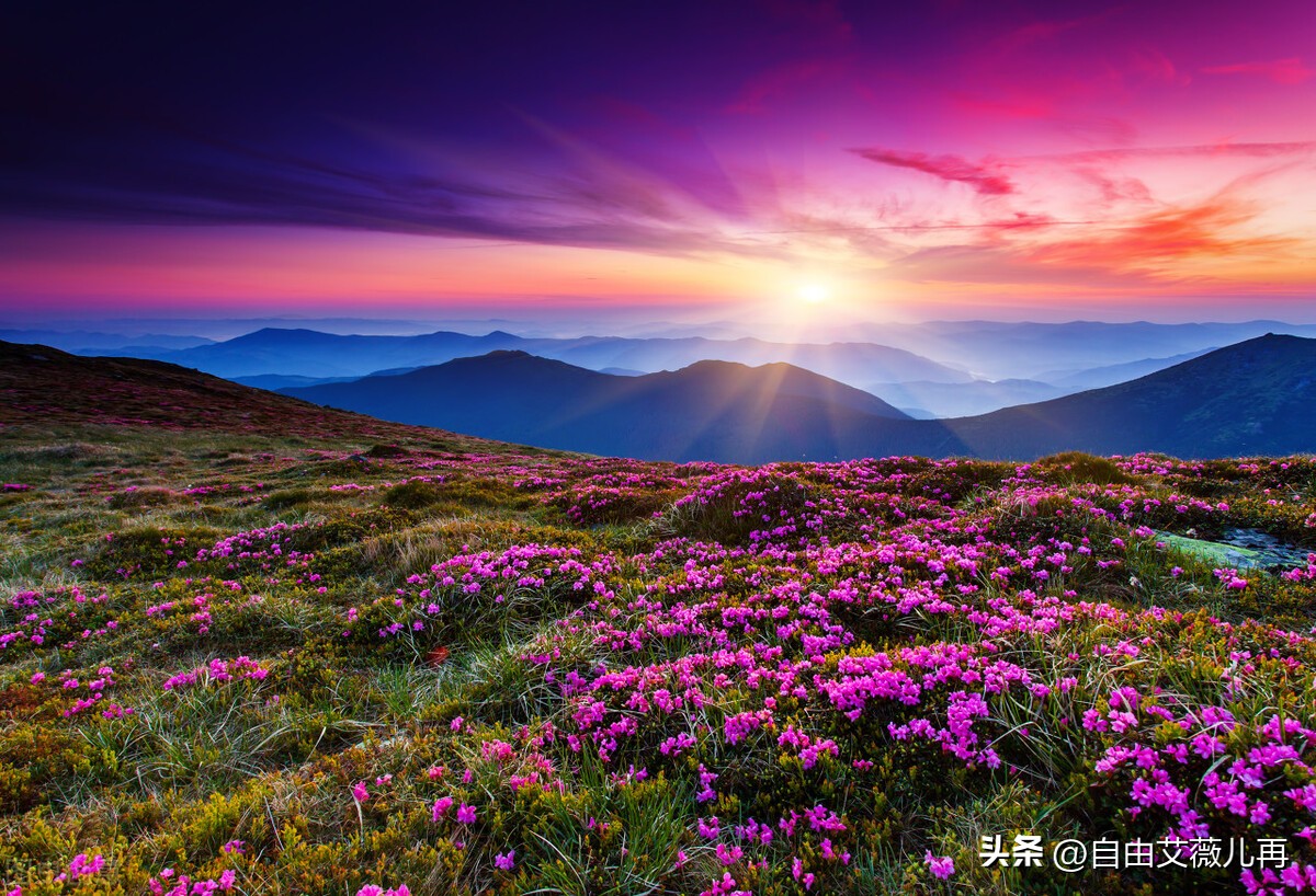 竞彩足球比赛比分推荐,竞彩足球今日推荐毕尔巴鄂