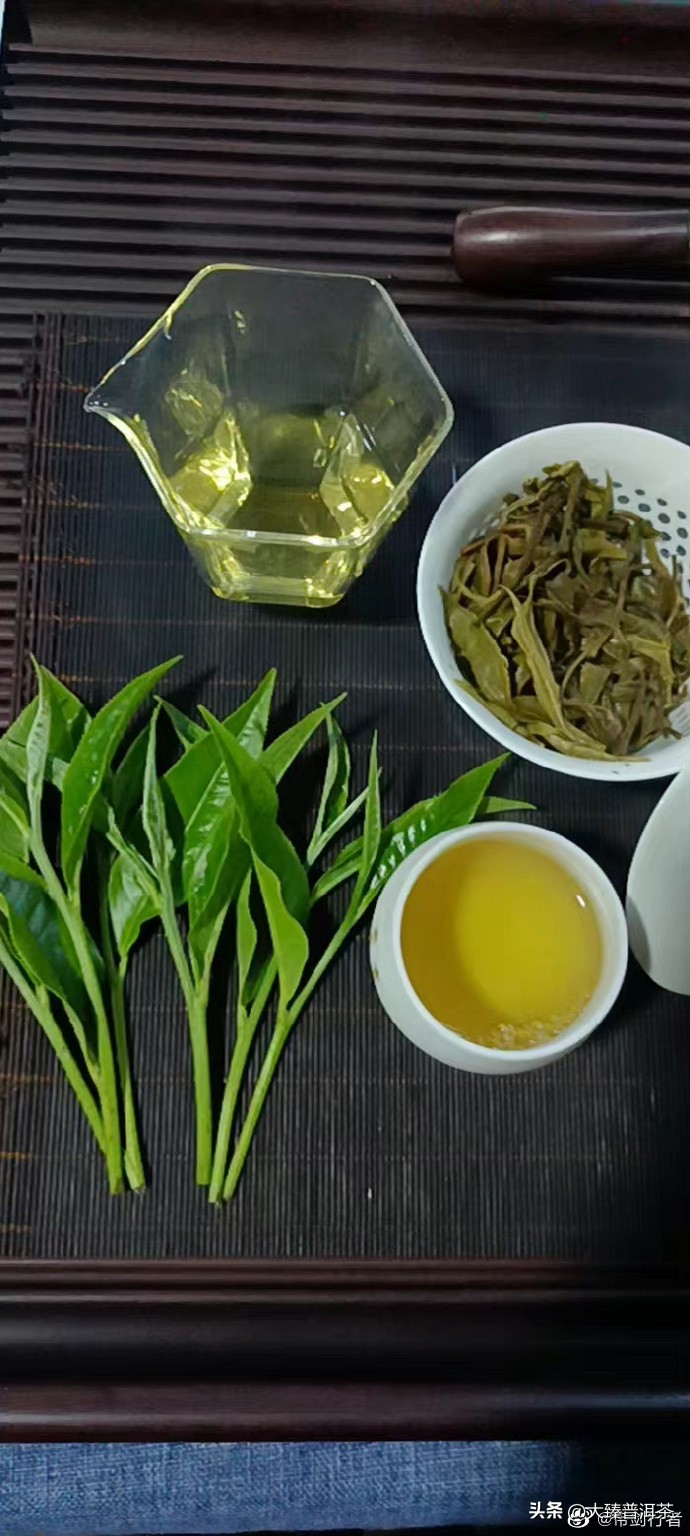 秋天的思念感悟,秋天的思念情诗