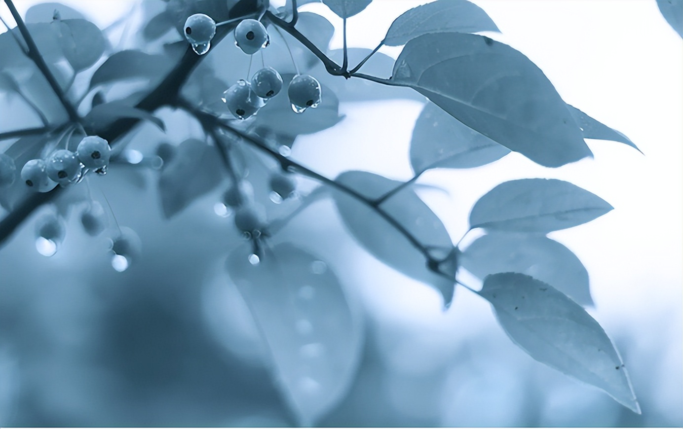 女人千万要有城府,女人要学会有城府