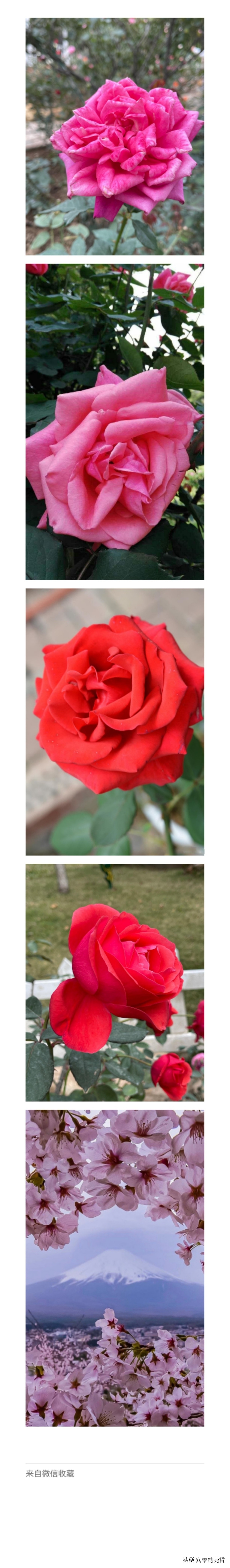 微信右上角加号有哪些功能,微信下方有个隐藏加号