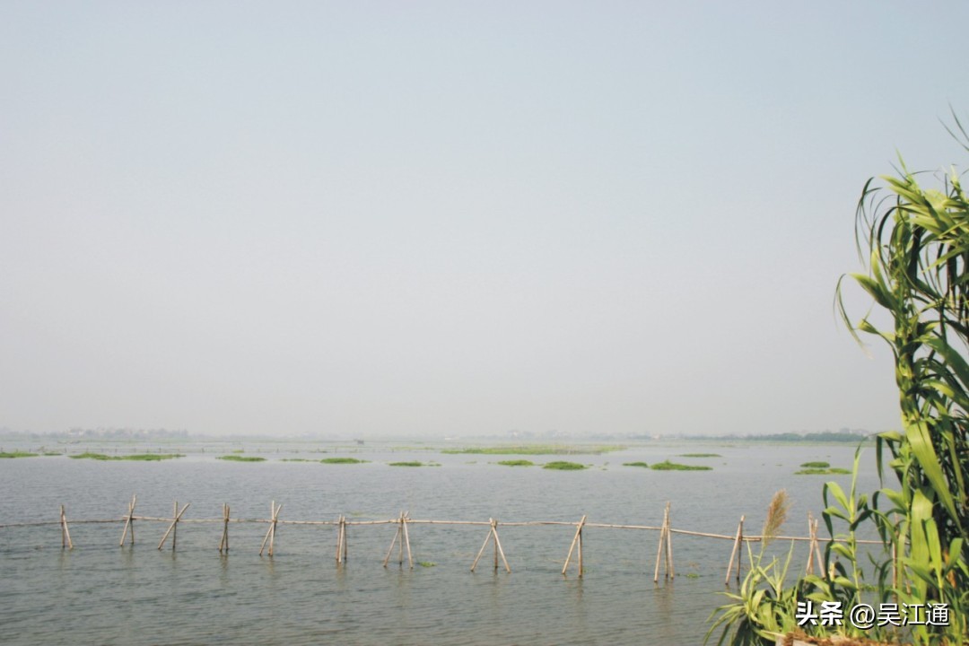 话说王勃,关于青云