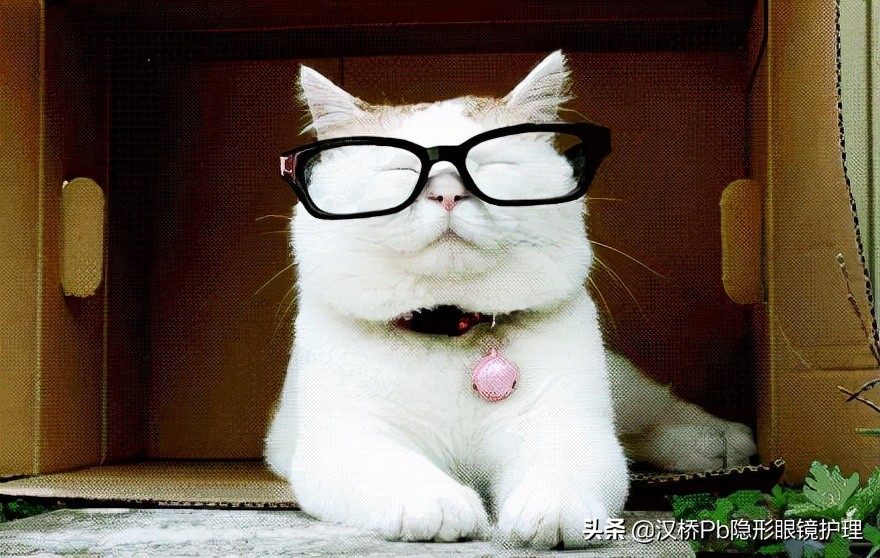 隐形眼镜会跑到眼睛里吗,隐形眼镜会跑到眼底吗