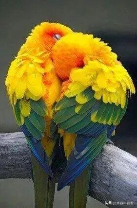 *拍偷**的夫妻生活照，羞羞的