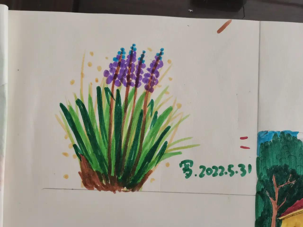 自学画画几年才有成果,自学画画一星期