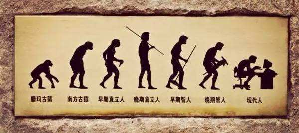 中国人比白人矮，连日本都不如？已经2022年了，别再被谣言*脑洗**