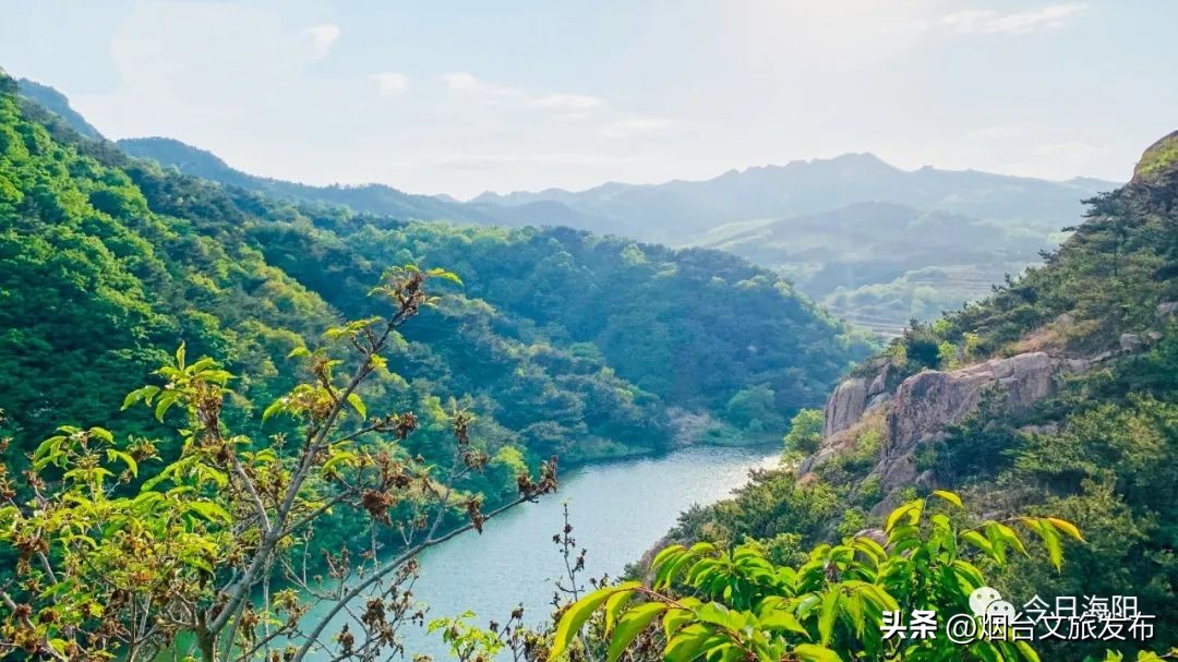 魅力海阳行,魅力新浦海阳