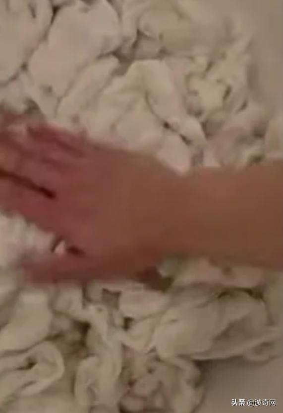 萨摩耶开始掉毛,萨摩耶铲屎官报道