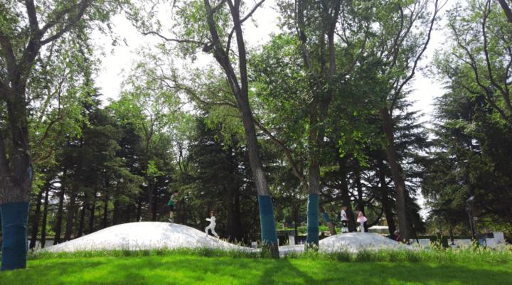 春天里的第一场露营安排,春天的第一次露营开始了