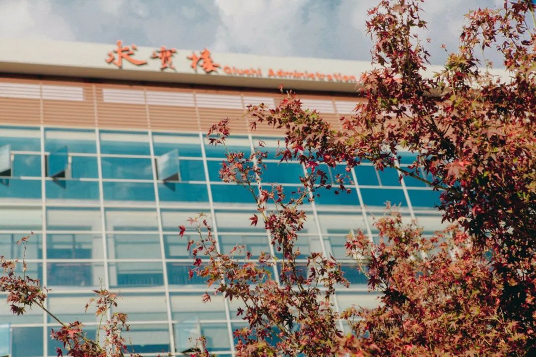 秋季限定|昆明九所学校，送你诗意校园里的一抹金