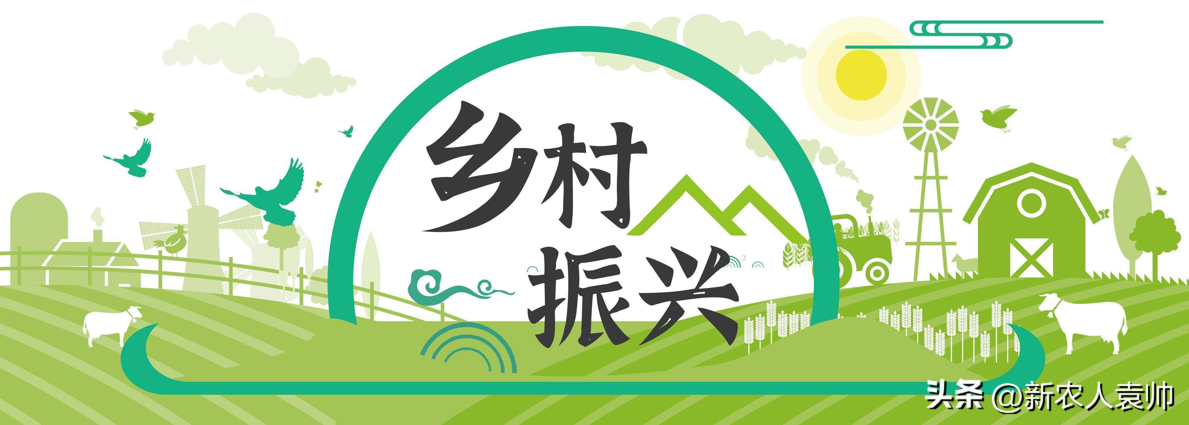 聚焦智能化改造和数字化转型,焦点访谈传统产业加速转型