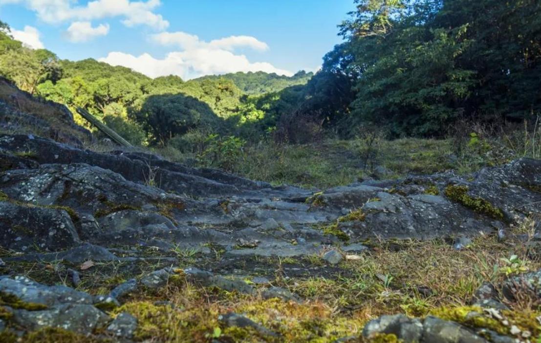 大理南诏时期云南文化特点,南诏国与佛教的关系