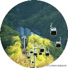 好消息景区,王屋山景区免门票