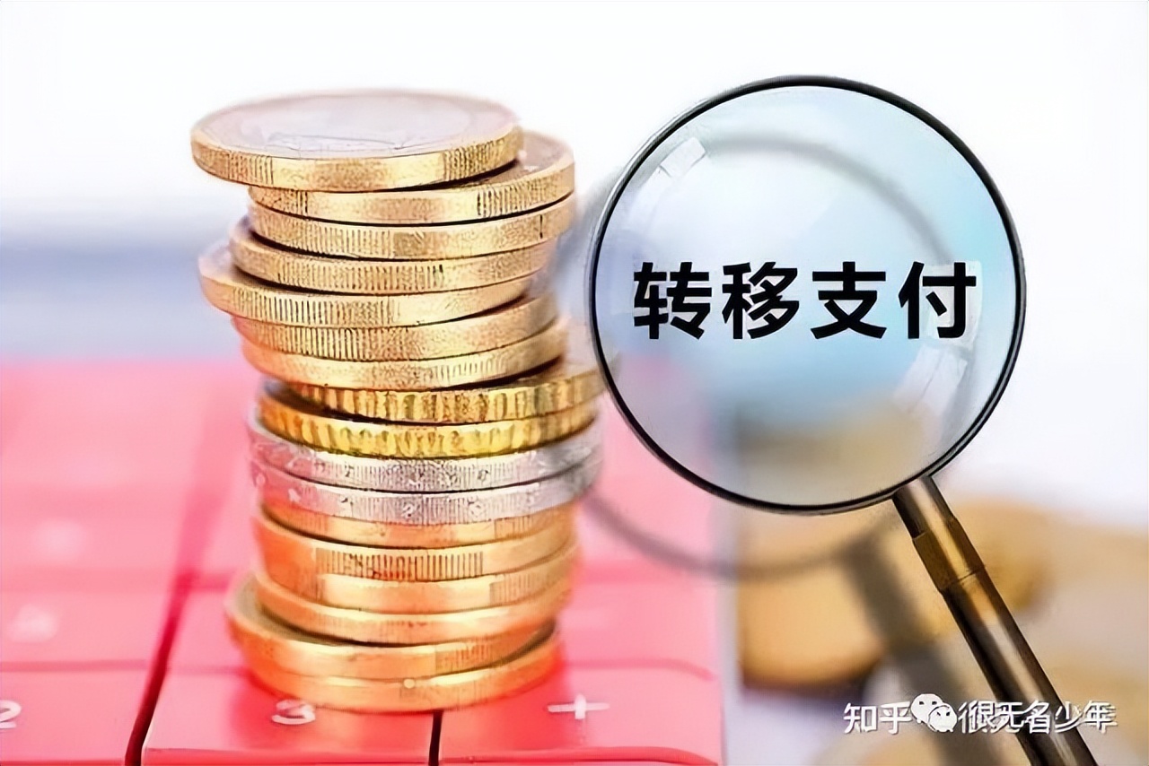 为什么非要说成是转移支付,怎么看待支付订单