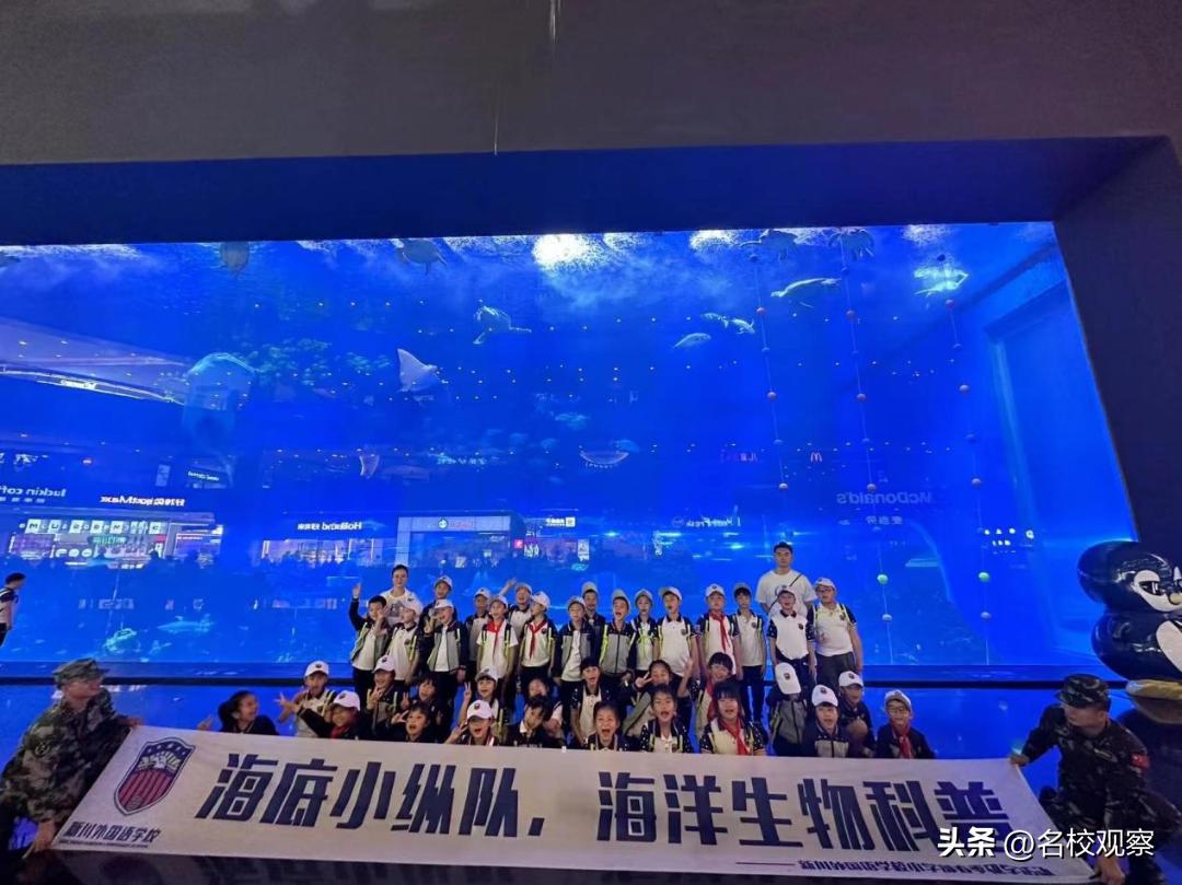 蔚蓝做苍穹，鱼儿变繁星！新川学子，走进浩海立方，探秘无限海洋