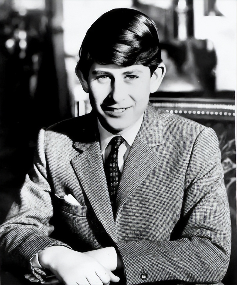 查尔斯保姆玛贝尔,查尔斯保姆和卡米拉