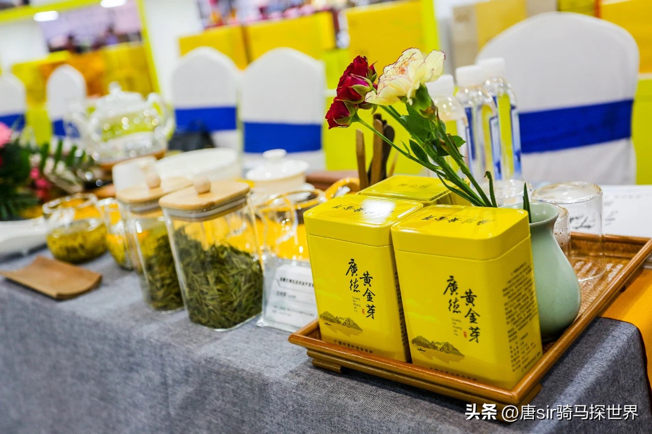 中国最珍贵竹乡,中国茶竹之乡在哪里