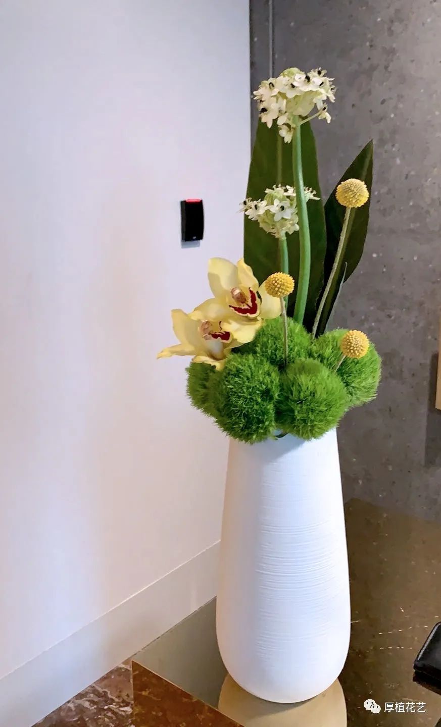 商务前台鲜花,前台花选择