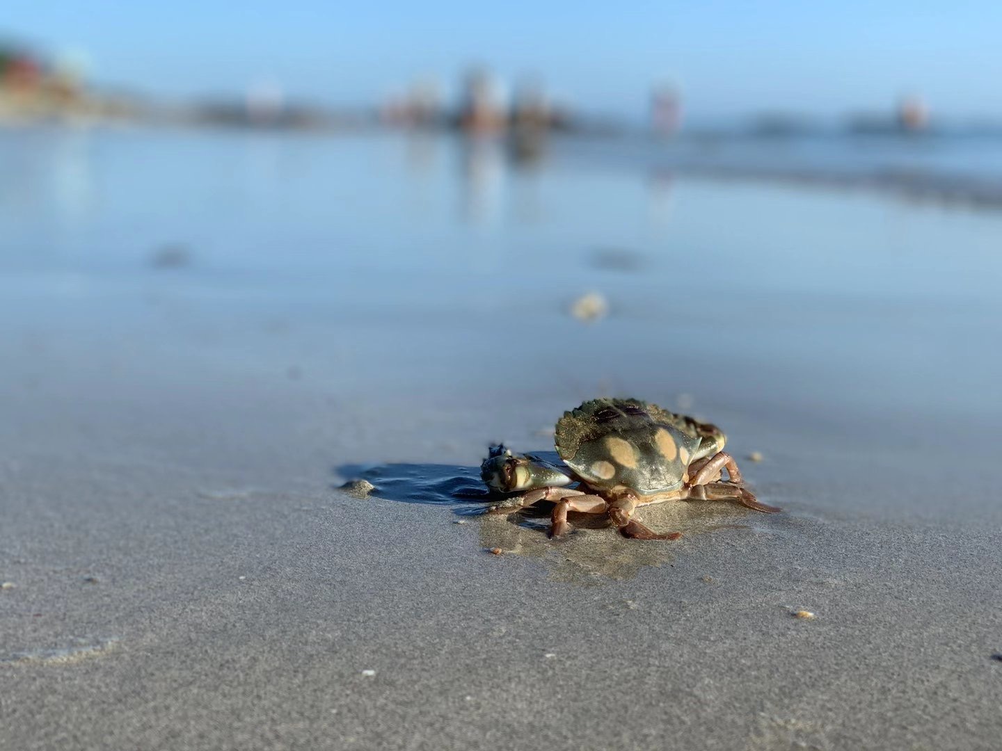 北海涠洲岛保姆级攻略,北海保姆级旅游攻略