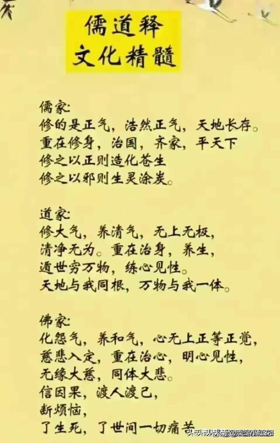 告诉孩子做人要善良,懂人性的孩子长大能挣钱吗