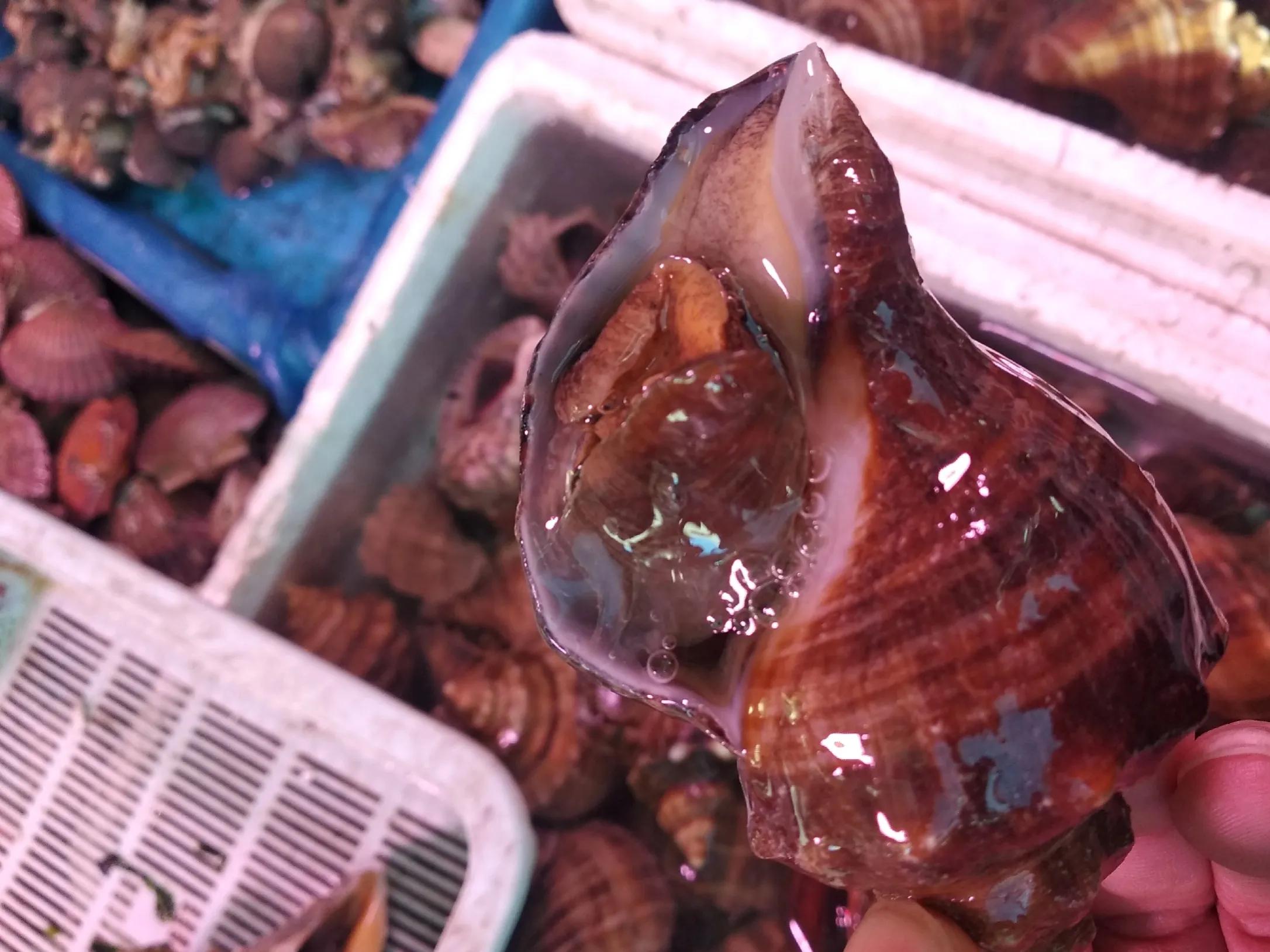 小海鲜怎么处理才好吃,处理海鲜小妙招只需一招干净好学