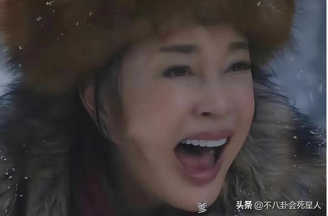 干练精致气场强大陈数饰演的角色,陈数和刘晓庆