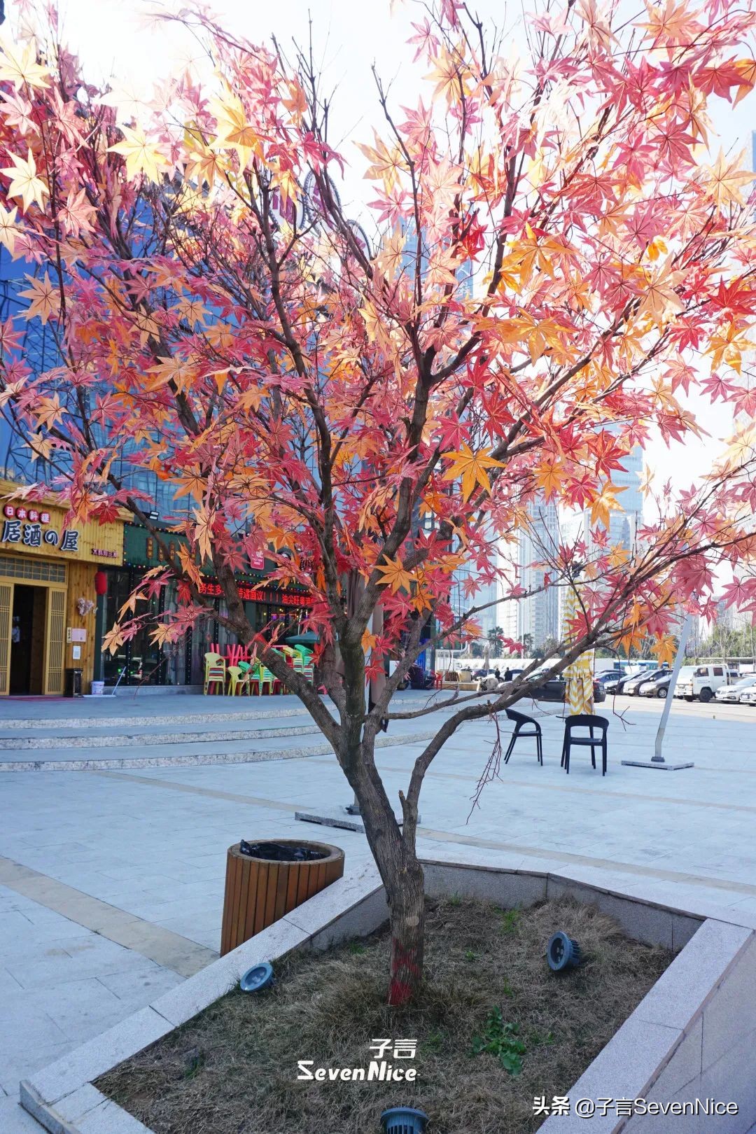南昌的雨后天晴,南昌的风和雨