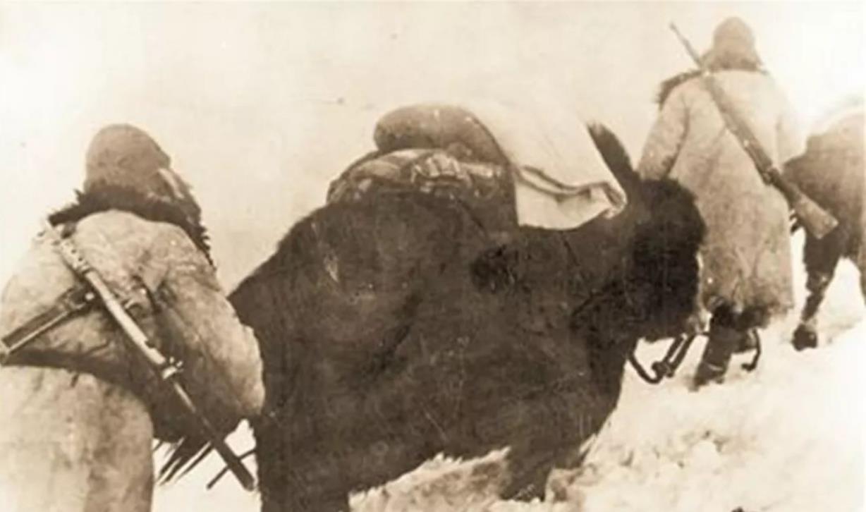 毛主席落泪说了3遍“盖世英雄”