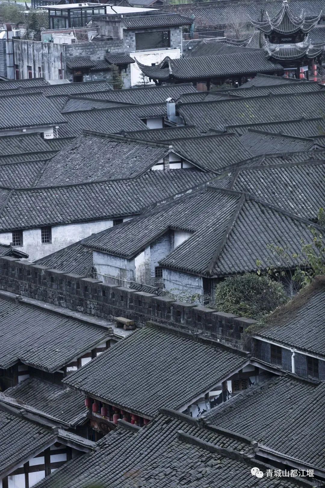 抓住秋天的尾巴！都江堰必打卡的8大晚秋好去处，步青山观烟岚云岫、入古城拾千年烟火，来过都会爱上