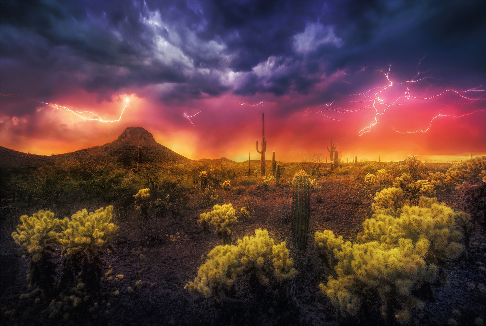 周黑鸭加盟的惨痛教训,周黑鸭单品利润分析