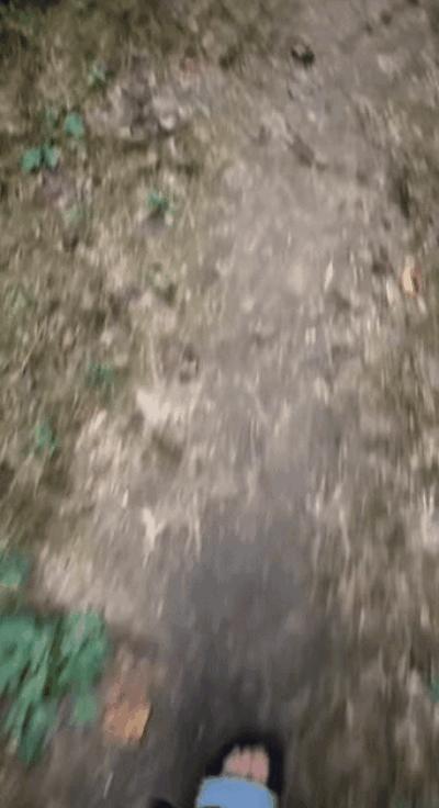 閲忓瓙鍔涘杞欢鎺ㄨ崘,閲忓瓙鍔涘杞欢