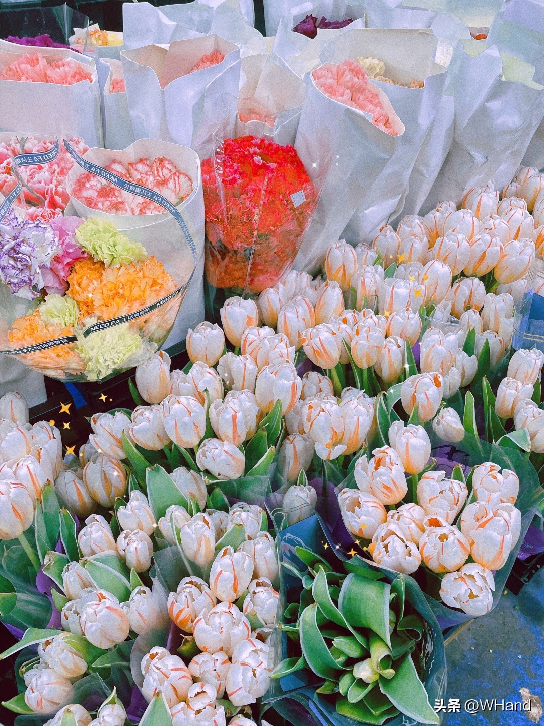 武汉的各类批发市场在哪里,武汉囤货一般买什么