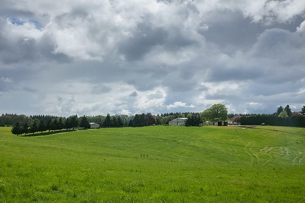 波兰农业现状,波兰产业结构最新