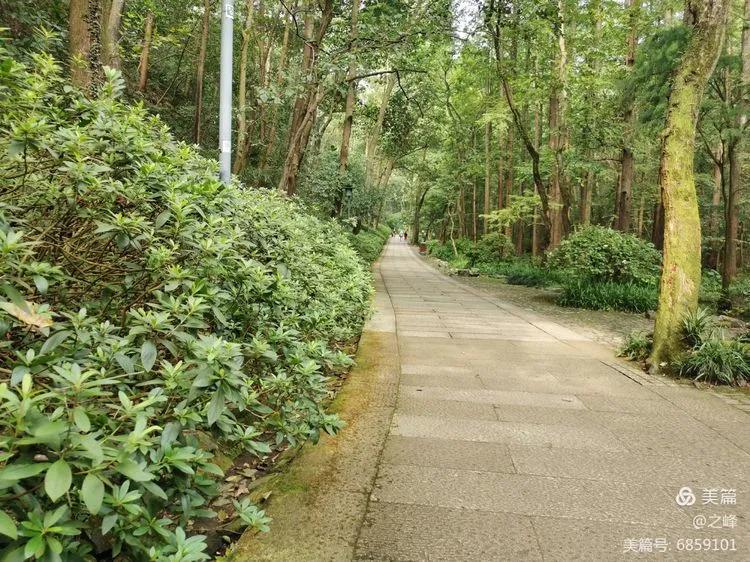 杭州西湖美景虎跑梦泉,杭州天下第三泉虎跑泉