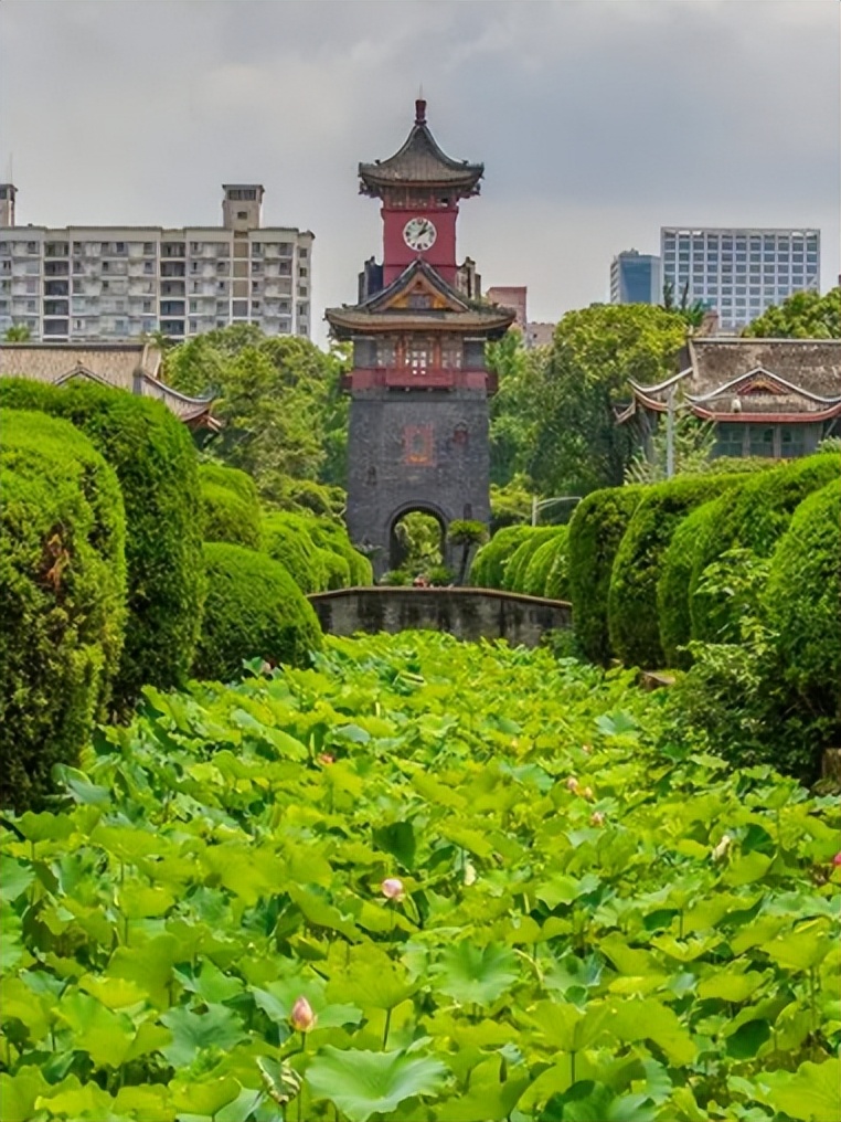 逢盛世，求卓越，怀青云志赴“一流”！四川大学，邀你共赴未来！