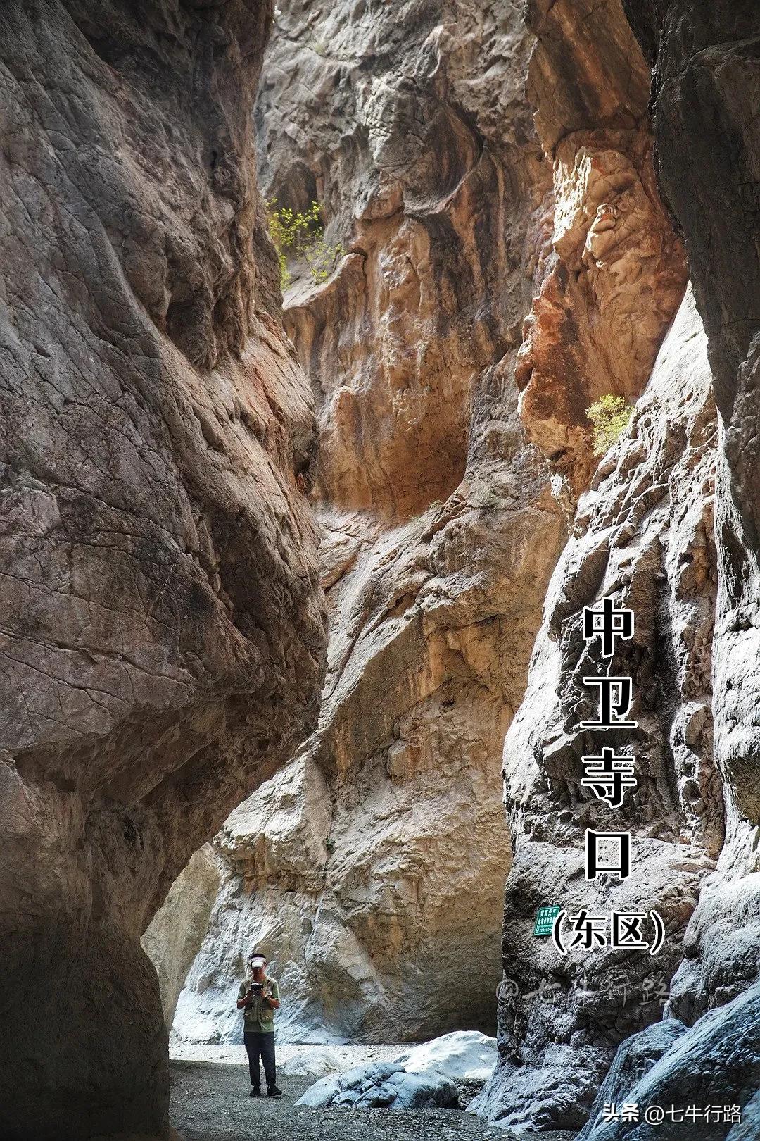 宁夏沙湖自由行攻略,宁夏沙坡头免费游