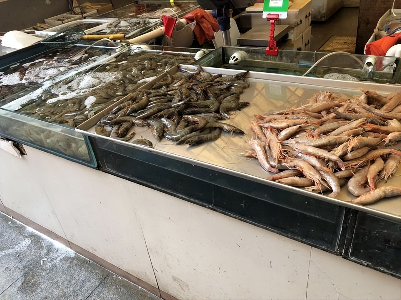 日照当地人买海鲜都去哪,日照买海鲜攻略